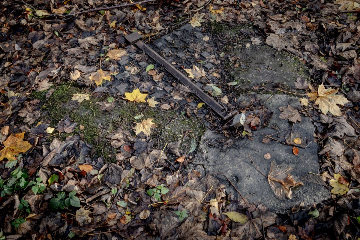 The Actual Drainage Shaft In Bathpool Park The Location Where Lesley Whittle Killed By Donald Neilson Aka The Black Panther Kidnap Murder Case In 1975