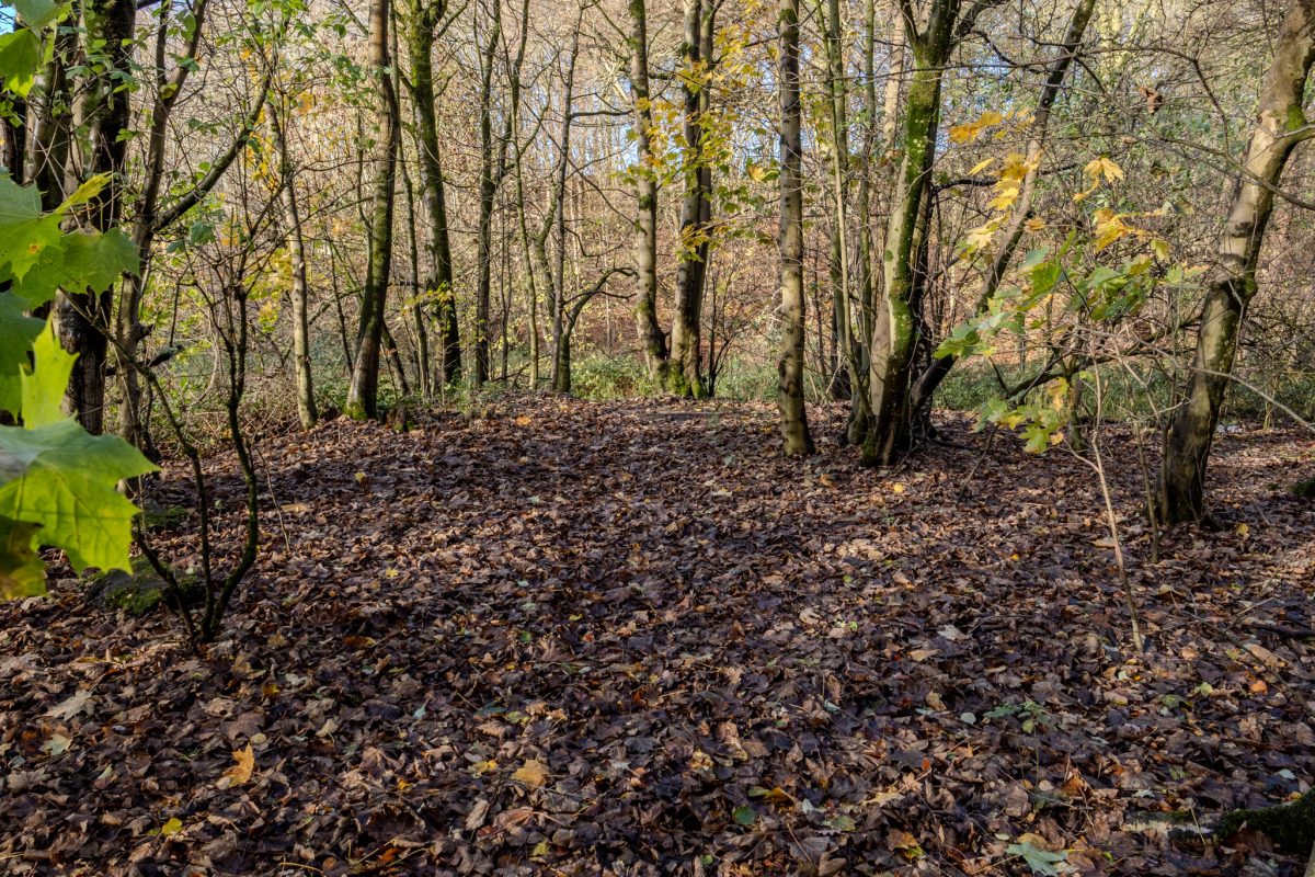 Bathpool Park The Location Where Lesley Whittle Killed By Donald Neilson Aka The Black Panther Kidnap Murder Case In 1975