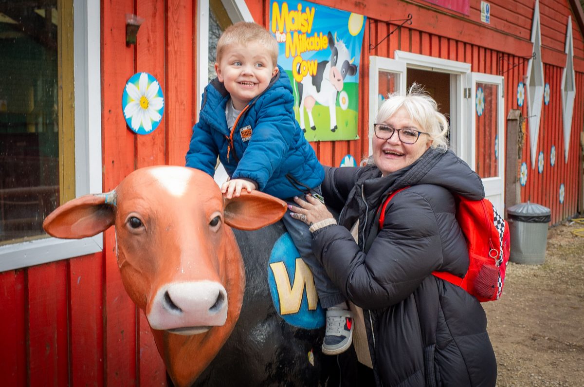 Young boy sitting on a cow-themed ride at Wheelgate Park in Nottinghamshire.