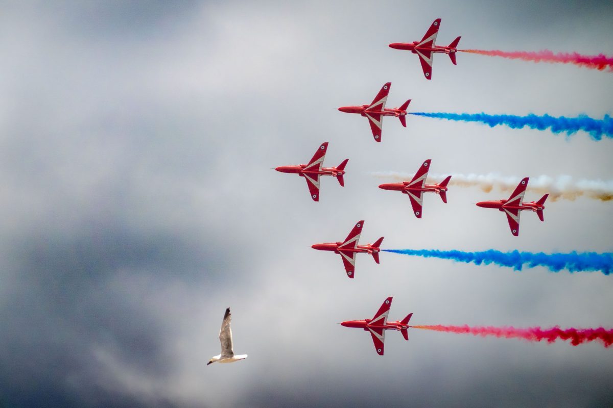 Six Red Arrows jets in a staggered formation, trailing alternating red and blue smoke, with a single seagull flying in the foreground against a cloudy sky.