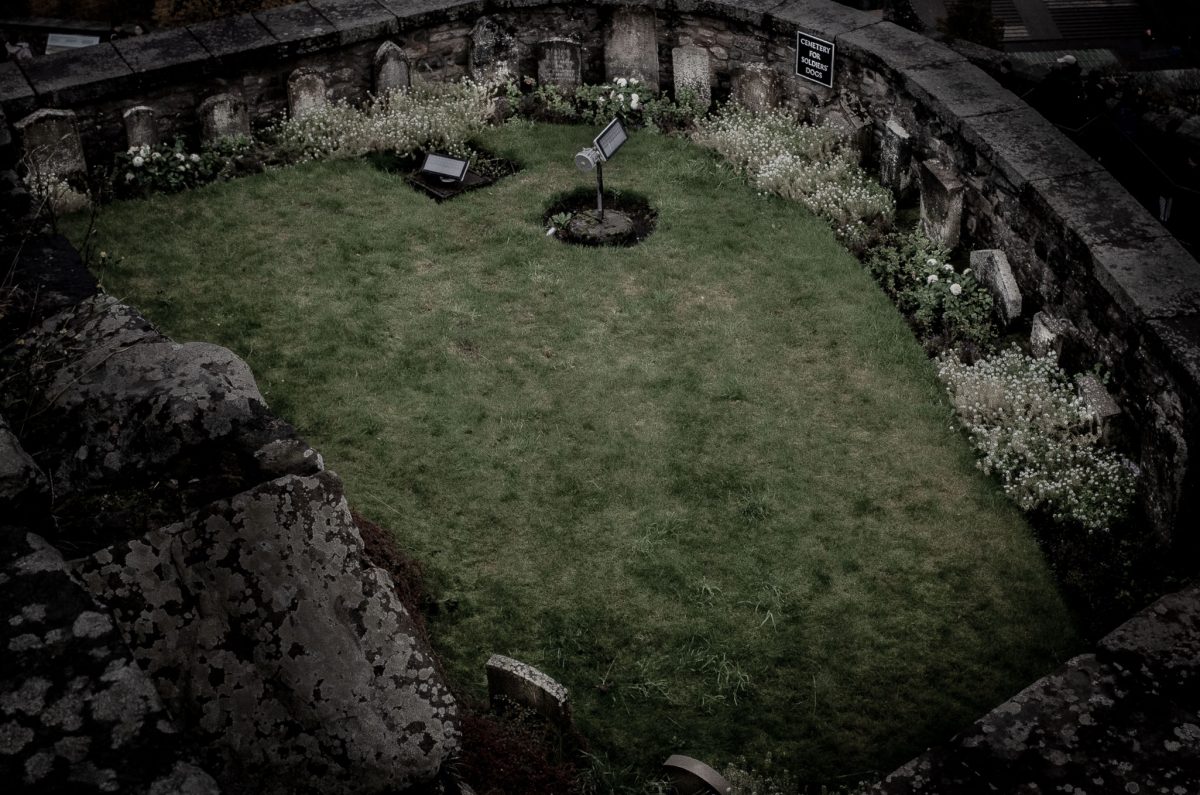 An overhead view of a small, grassy, walled burial ground known as the Dogs' Cemetery, within Edinburgh Castle grounds.