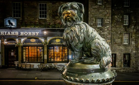 Bronze statue of Greyfriars Bobby sitting atop a water fountain base in front of the Greyfriars Bobby Pub at night in Edinburgh.