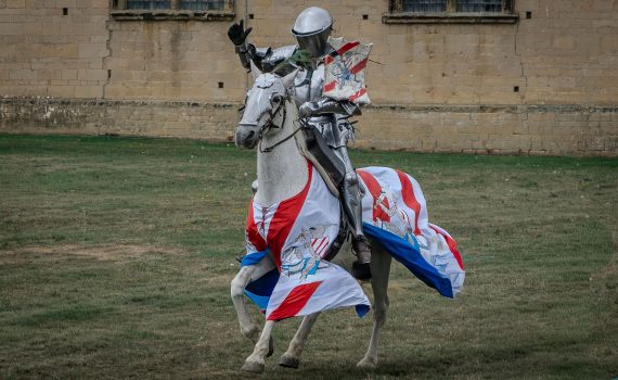 A knight in polished full plate armor sits astride a white horse, both draped in a red, white, and blue caparison, waving to the crowd in front of the castle wall.