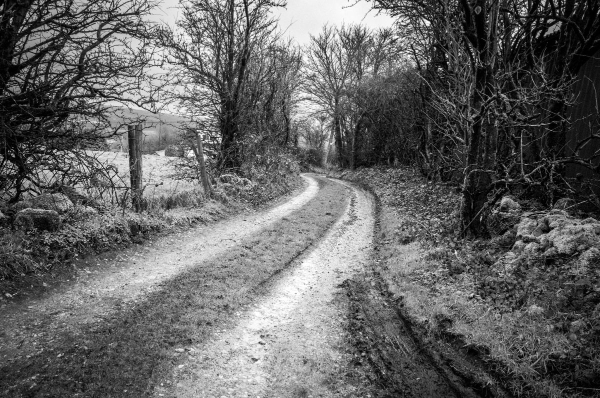 A muddy, rural lane flanked by bare winter trees and a stone wall under a grey sky.