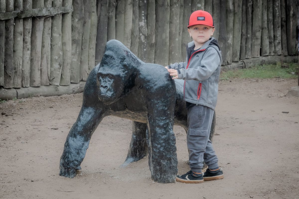 Young boy in a grey jacket and red cap standing next to a black gorilla statue on sandy ground.