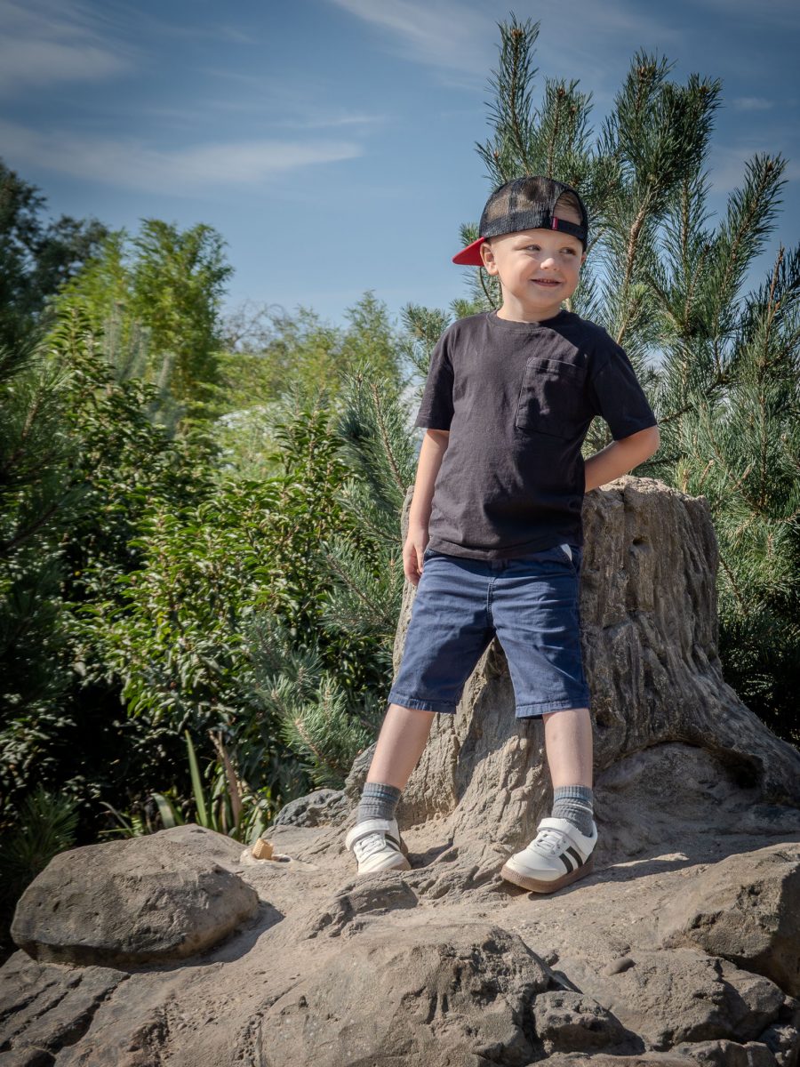 Young boy wearing a black t-shirt and red cap standing proudly on a rock in a sunny zoo environment.