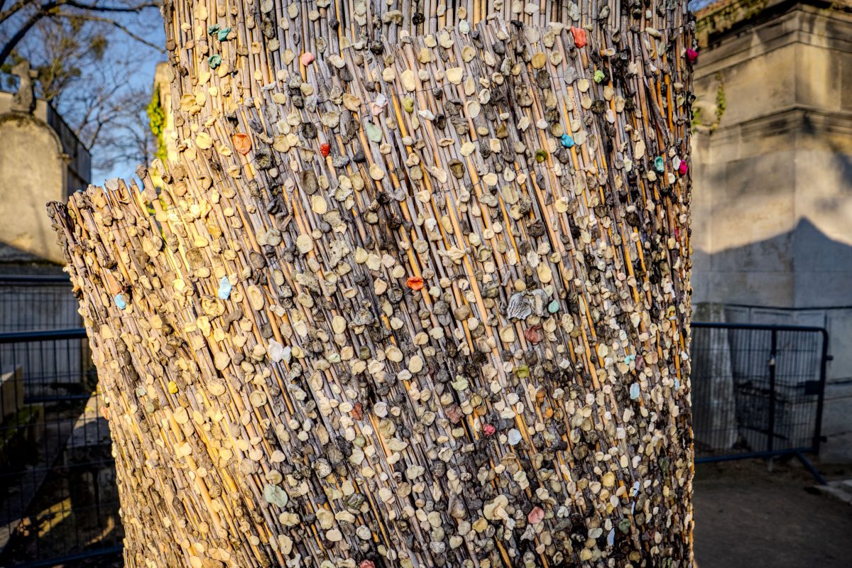 A tree trunk covered in hundreds of pieces of colorful dried chewing gum left by visitors.